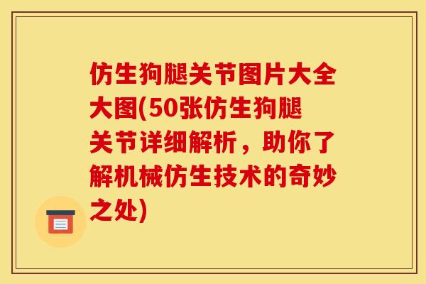 仿生狗腿关节图片大全大图(50张仿生狗腿关节详细解析，助你了解机械仿生技术的奇妙之处)