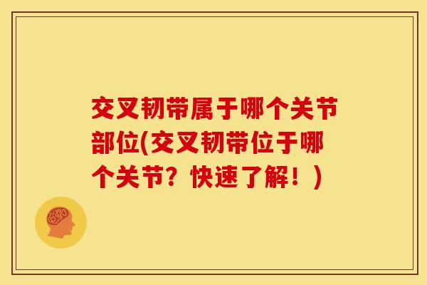 交叉韧带属于哪个关节部位(交叉韧带位于哪个关节？快速了解！)