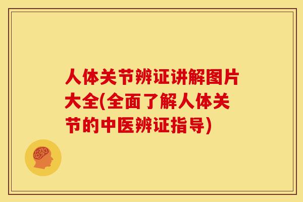 人体关节辨证讲解图片大全(全面了解人体关节的中医辨证指导)-第1张图片-关节骑士