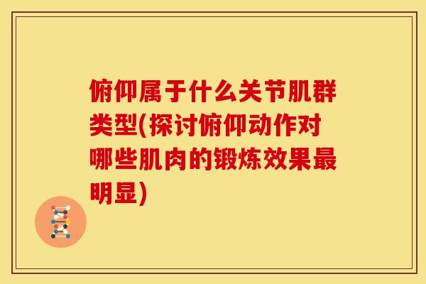 俯仰属于什么关节肌群类型(探讨俯仰动作对哪些肌肉的锻炼效果最明显)