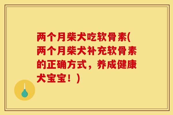 两个月柴犬吃软骨素(两个月柴犬补充软骨素的正确方式，养成健康犬宝宝！)