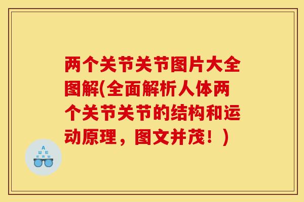 两个关节关节图片大全图解(全面解析人体两个关节关节的结构和运动原理，图文并茂！)