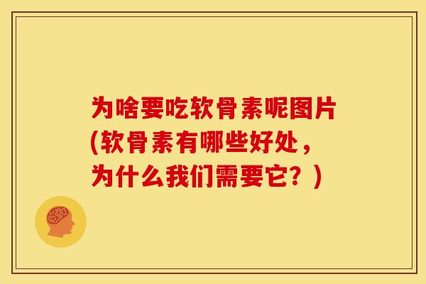 为啥要吃软骨素呢图片(软骨素有哪些好处，为什么我们需要它？)