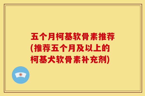 五个月柯基软骨素推荐(推荐五个月及以上的柯基犬软骨素补充剂)