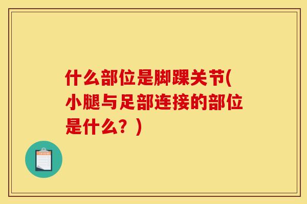 什么部位是脚踝关节(小腿与足部连接的部位是什么？)