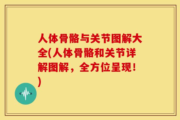 人体骨骼与关节图解大全(人体骨骼和关节详解图解，全方位呈现！)