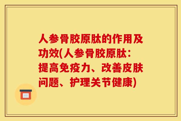 人参骨胶原肽的作用及功效(人参骨胶原肽：提高免疫力、改善皮肤问题、护理关节健康)