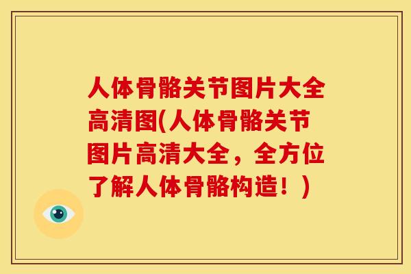 人体骨骼关节图片大全高清图(人体骨骼关节图片高清大全，全方位了解人体骨骼构造！)