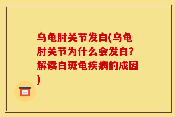乌龟肘关节发白(乌龟肘关节为什么会发白？解读白斑龟疾病的成因)