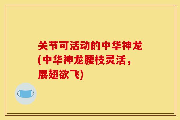 关节可活动的中华神龙(中华神龙腰枝灵活，展翅欲飞)