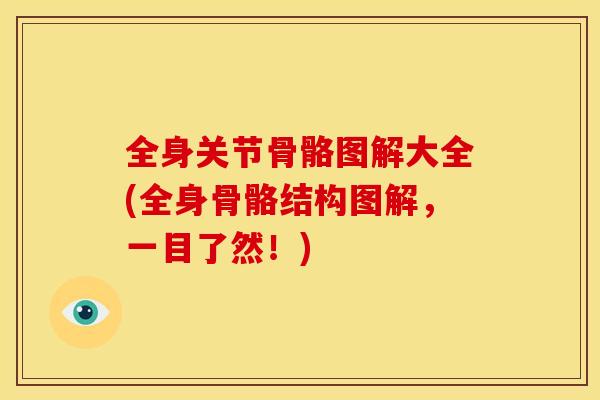 全身关节骨骼图解大全(全身骨骼结构图解，一目了然！)