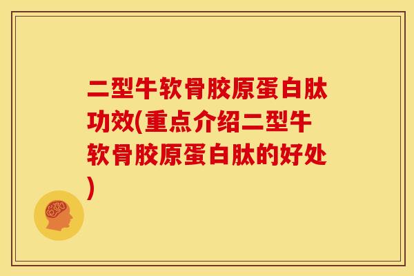 二型牛软骨胶原蛋白肽功效(重点介绍二型牛软骨胶原蛋白肽的好处)