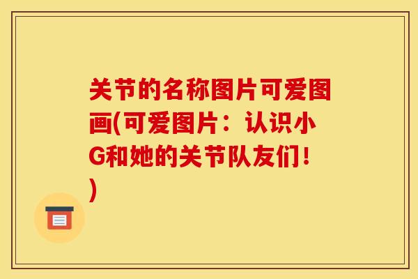 关节的名称图片可爱图画(可爱图片：认识小G和她的关节队友们！)