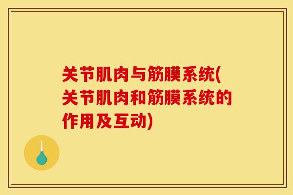 关节肌肉与筋膜系统(关节肌肉和筋膜系统的作用及互动)