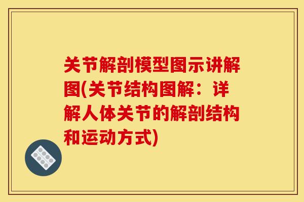 关节解剖模型图示讲解图(关节结构图解：详解人体关节的解剖结构和运动方式)