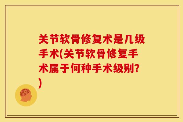 关节软骨修复术是几级手术(关节软骨修复手术属于何种手术级别？)