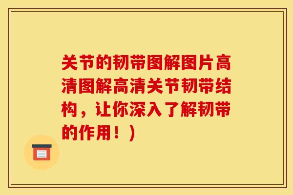 关节的韧带图解图片高清图解高清关节韧带结构，让你深入了解韧带的作用！)