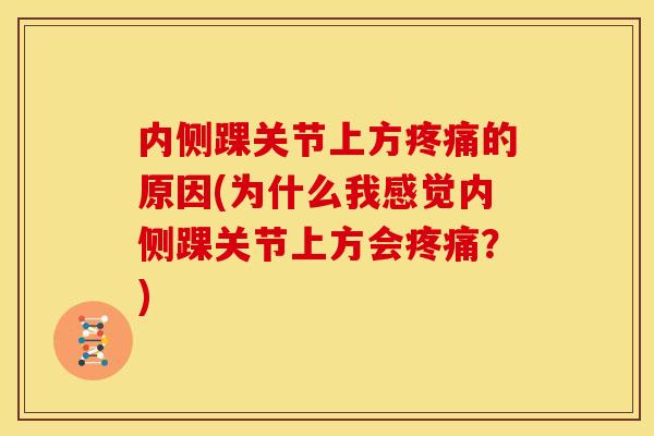 内侧踝关节上方疼痛的原因(为什么我感觉内侧踝关节上方会疼痛？)