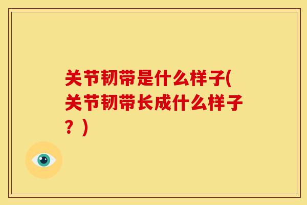 关节韧带是什么样子(关节韧带长成什么样子？)