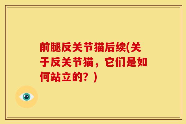 前腿反关节猫后续(关于反关节猫，它们是如何站立的？)