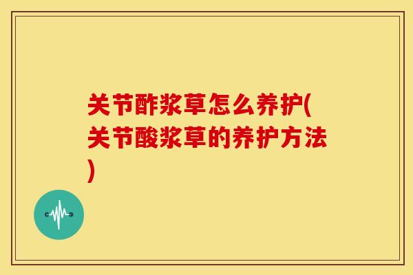 关节酢浆草怎么养护(关节酸浆草的养护方法)
