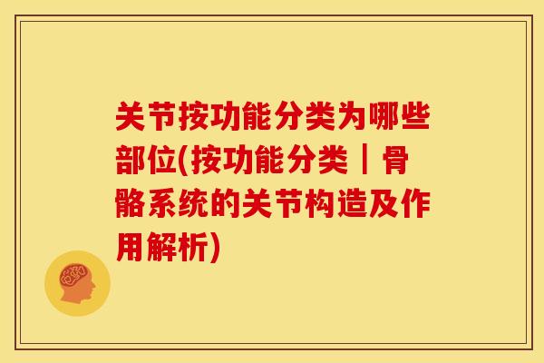 关节按功能分类为哪些部位(按功能分类｜骨骼系统的关节构造及作用解析)