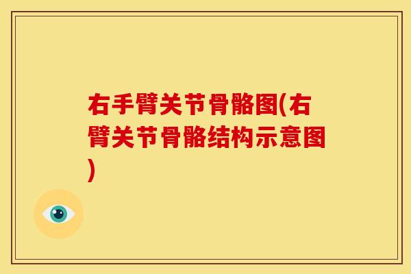 右手臂关节骨骼图(右臂关节骨骼结构示意图)