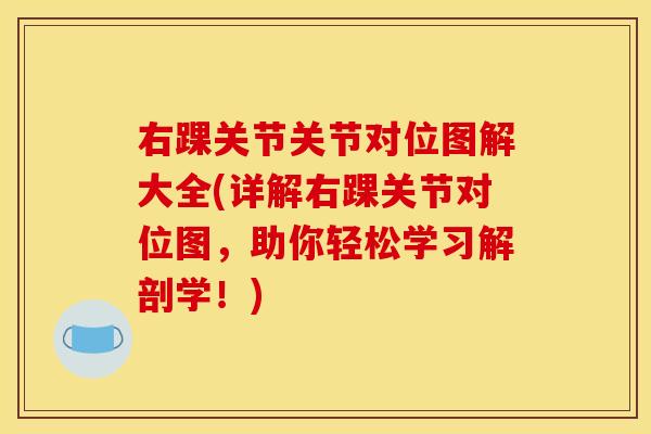 右踝关节关节对位图解大全(详解右踝关节对位图，助你轻松学习解剖学！)