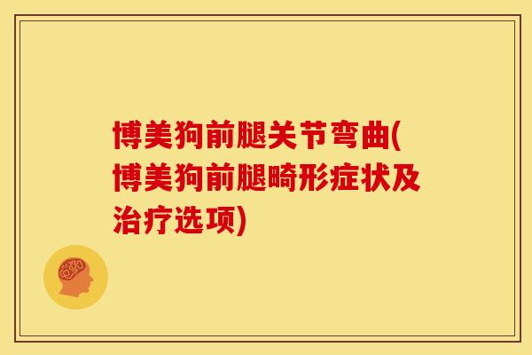 博美狗前腿关节弯曲(博美狗前腿畸形症状及治疗选项)