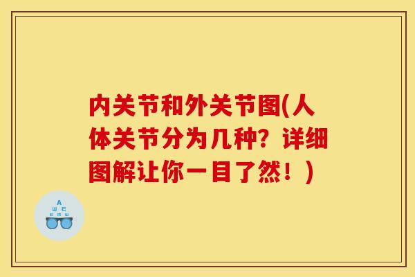 内关节和外关节图(人体关节分为几种？详细图解让你一目了然！)