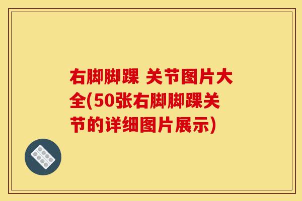 右脚脚踝 关节图片大全(50张右脚脚踝关节的详细图片展示)