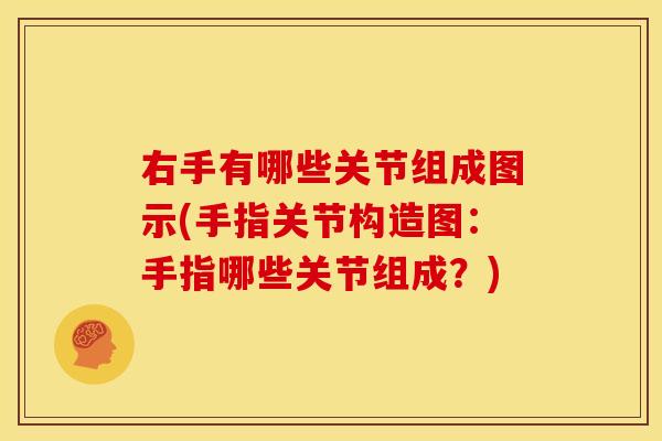 右手有哪些关节组成图示(手指关节构造图：手指哪些关节组成？)