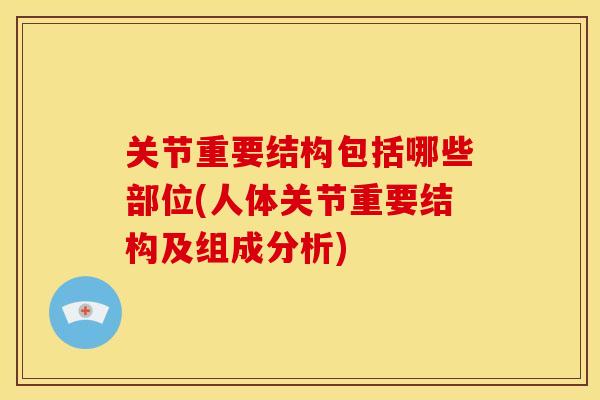 关节重要结构包括哪些部位(人体关节重要结构及组成分析)