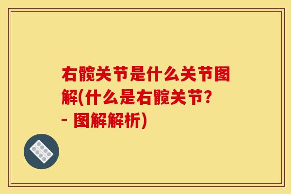 右髋关节是什么关节图解(什么是右髋关节？- 图解解析)