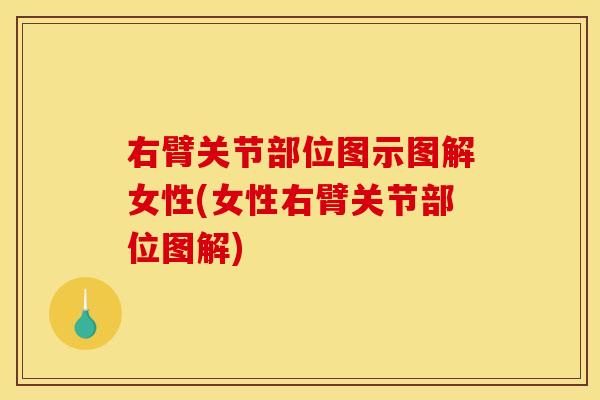 右臂关节部位图示图解女性(女性右臂关节部位图解)