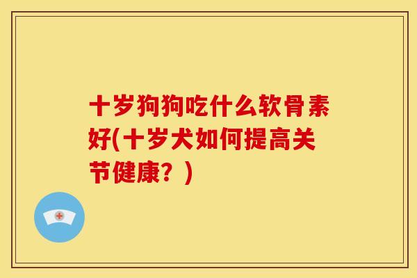 十岁狗狗吃什么软骨素好(十岁犬如何提高关节健康？)
