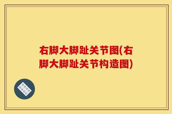 右脚大脚趾关节图(右脚大脚趾关节构造图)