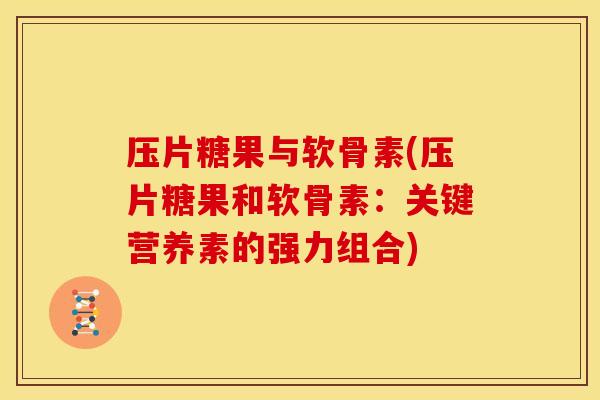 压片糖果与软骨素(压片糖果和软骨素：关键营养素的强力组合)