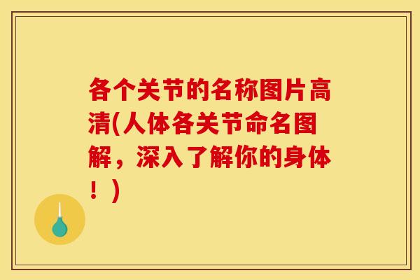 各个关节的名称图片高清(人体各关节命名图解，深入了解你的身体！)