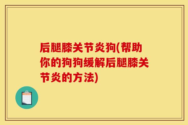 后腿膝关节炎狗(帮助你的狗狗缓解后腿膝关节炎的方法)