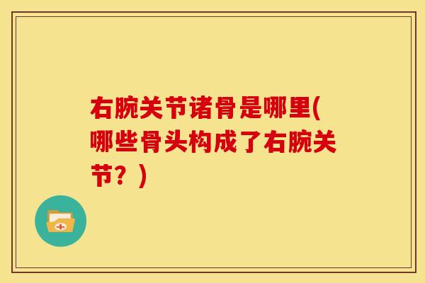 右腕关节诸骨是哪里(哪些骨头构成了右腕关节？)