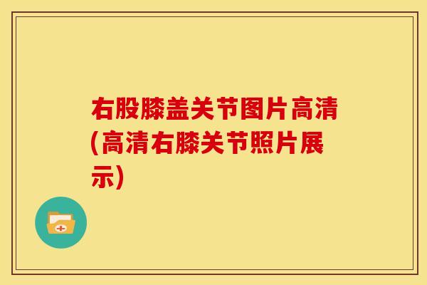 右股膝盖关节图片高清(高清右膝关节照片展示)