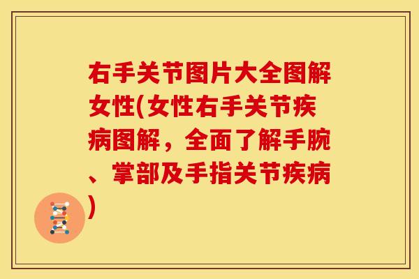 右手关节图片大全图解女性(女性右手关节疾病图解，全面了解手腕、掌部及手指关节疾病)