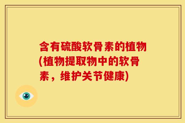 含有硫酸软骨素的植物(植物提取物中的软骨素，维护关节健康)