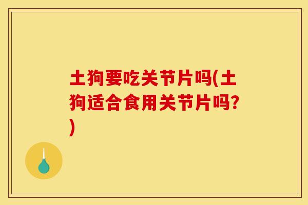 土狗要吃关节片吗(土狗适合食用关节片吗？)