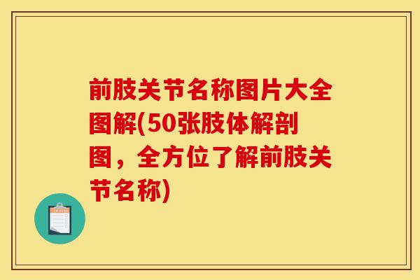 前肢关节名称图片大全图解(50张肢体解剖图，全方位了解前肢关节名称)