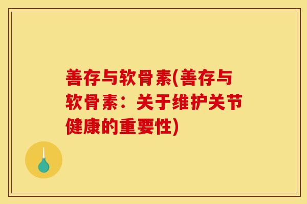 善存与软骨素(善存与软骨素：关于维护关节健康的重要性)