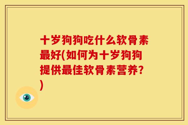 十岁狗狗吃什么软骨素最好(如何为十岁狗狗提供最佳软骨素营养？)
