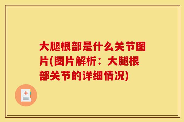 大腿根部是什么关节图片(图片解析：大腿根部关节的详细情况)