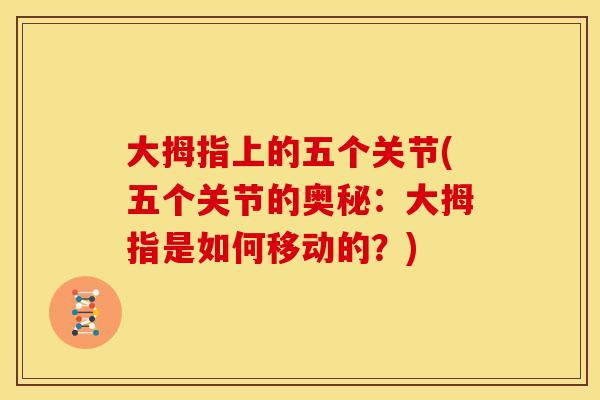 大拇指上的五个关节(五个关节的奥秘：大拇指是如何移动的？)